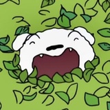 小睡睡碎碎念