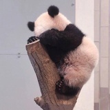 正寒