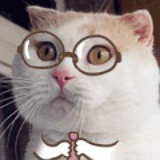 暖暖