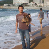 一汪浪漫