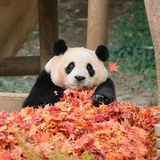 我一级棒