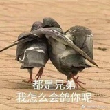 大豪