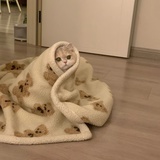 McKilo