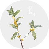 桂花姑娘