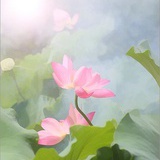 明月清風