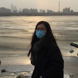 番茄姨母