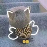 又又叉叉