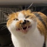 止