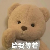 李宇春的亲妹妹