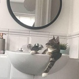 忘词