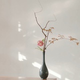 花之舞