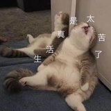纯洁的要死
