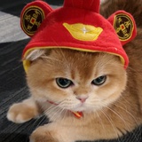 小小戏迷