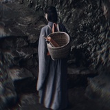 柳如居士