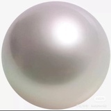 珍猪
