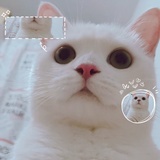 宝贝蛋小姐