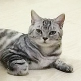今天画画了吗