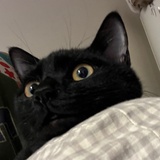 年糕蘸白糖