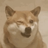 阿七