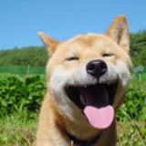 冷寶寶
