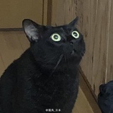 续命奶茶不能停