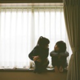 Wild world