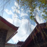 行吟诗人不出诗