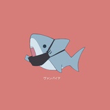 大鲨鱼🦈