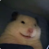 椰子蛋壳