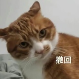 不太行