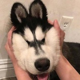 健忘铝孩