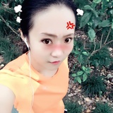 十丿十未十