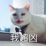 昵称都懒得起