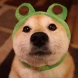 Maggie孟杰