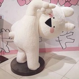 吃土少女