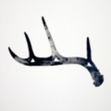 Antler