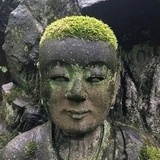不脂户