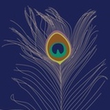 zui