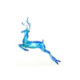 dodola