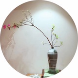小猫爱吃鱼