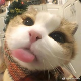 mo
