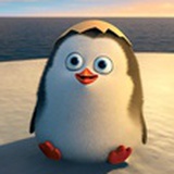 Andrea