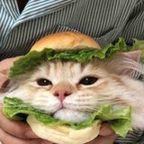 喵一口