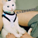 不要倒呗