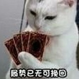 茶理