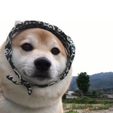 北冰洋
