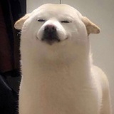 弧矢