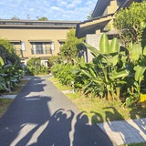 南昆山上找竹筒