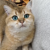 。。。。。