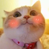 阿抖抖抖。